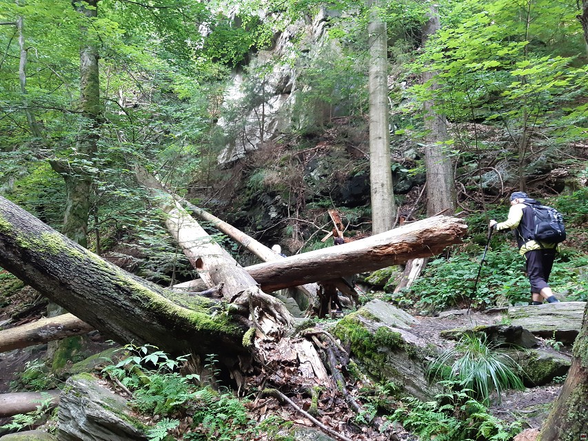 img00014.jpg