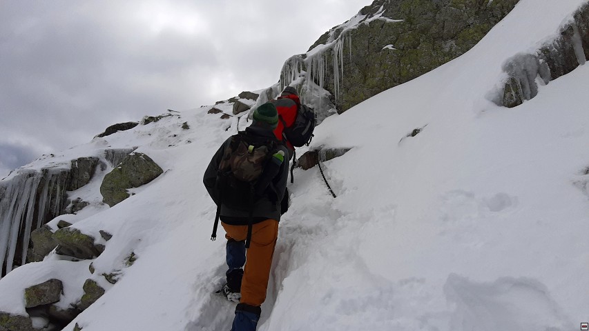 img00017.jpg