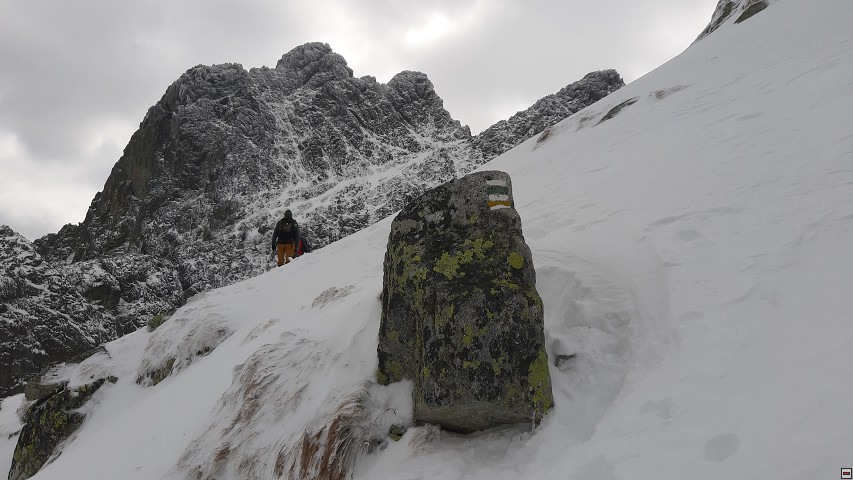 img00019.jpg