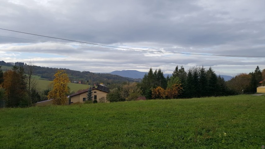 img00006.jpg