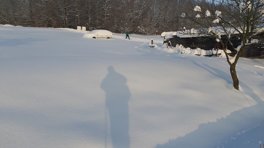 img00005.jpg