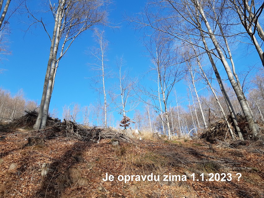img00002.jpg