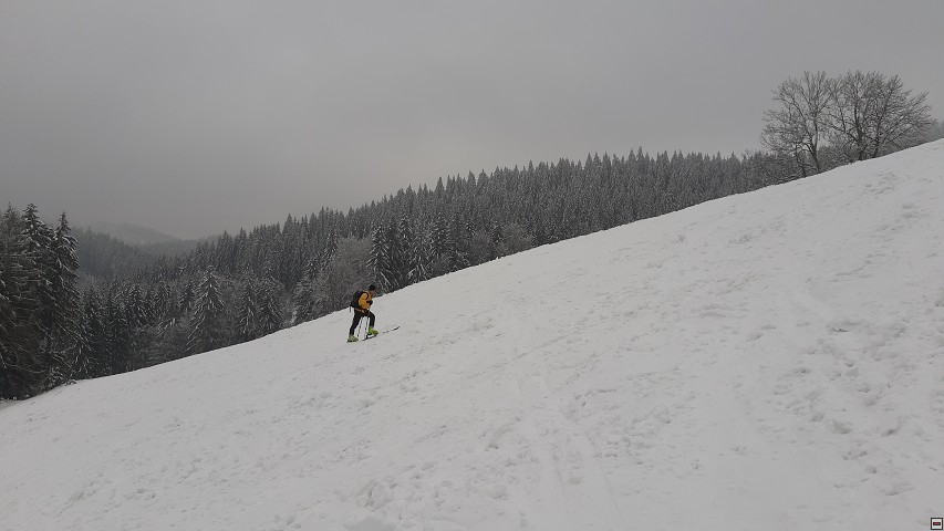 img00009.jpg