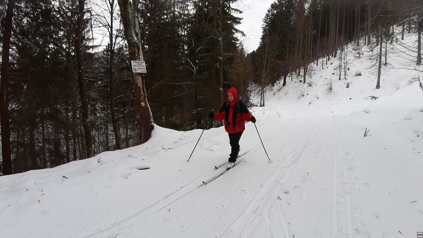 img00007.jpg