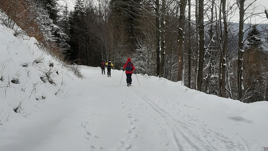 img00009.jpg