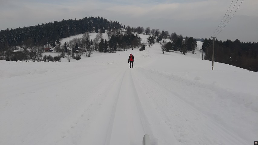 img00007.jpg