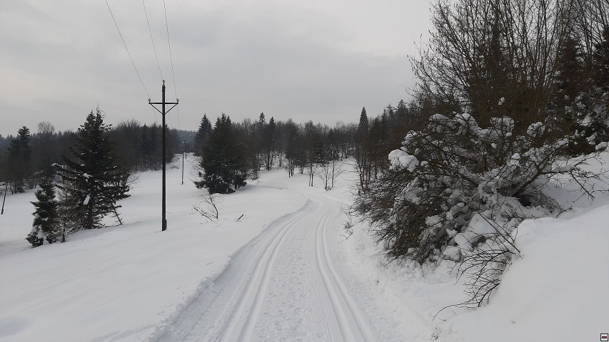 img00008.jpg
