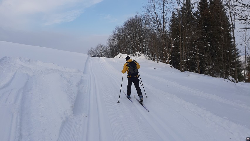 img00010.jpg