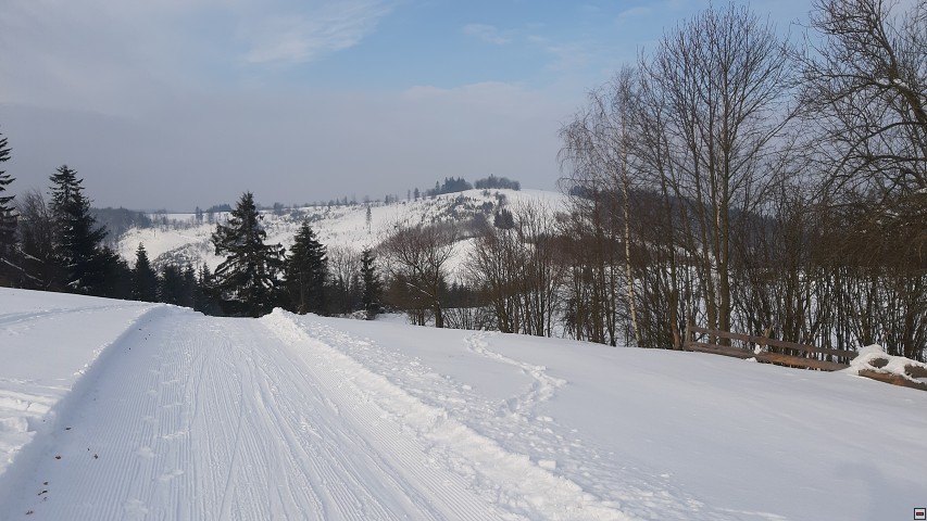 img00011.jpg