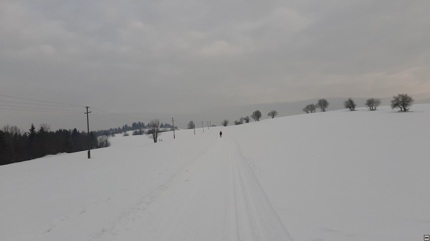 img00013.jpg