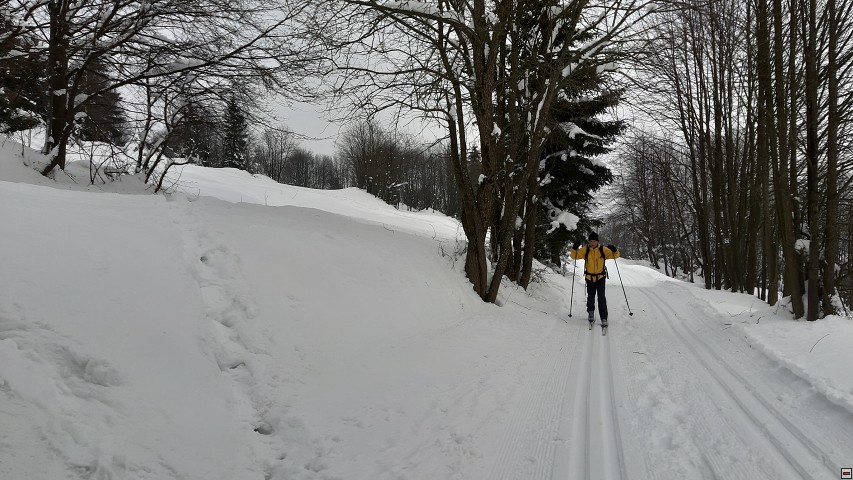 img00016.jpg