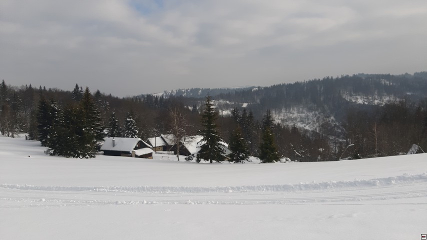 img00018.jpg