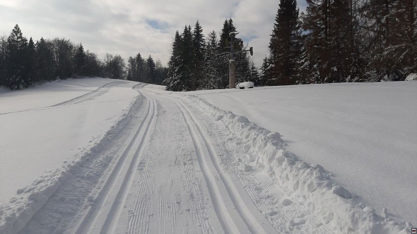 img00019.jpg