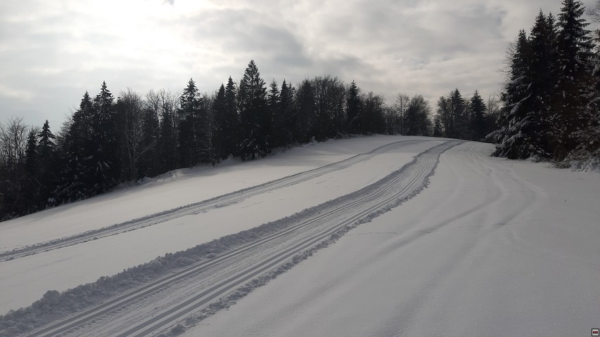 img00021.jpg
