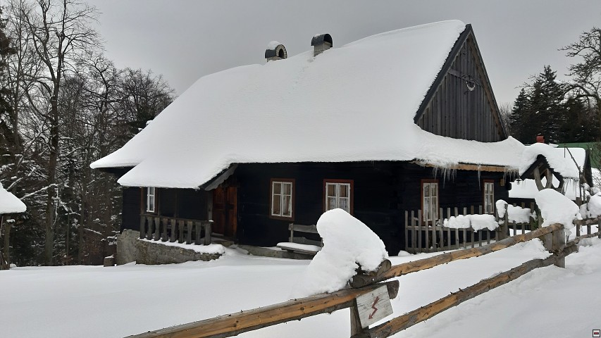 img00036.jpg