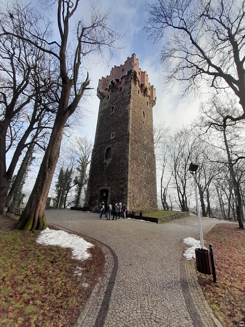 img00004.jpg