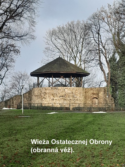 img00007.jpg
