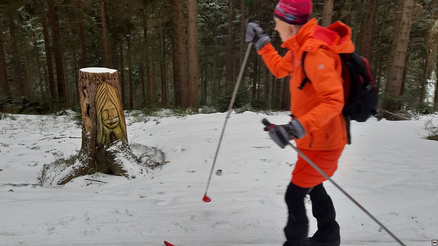 img00007.jpg