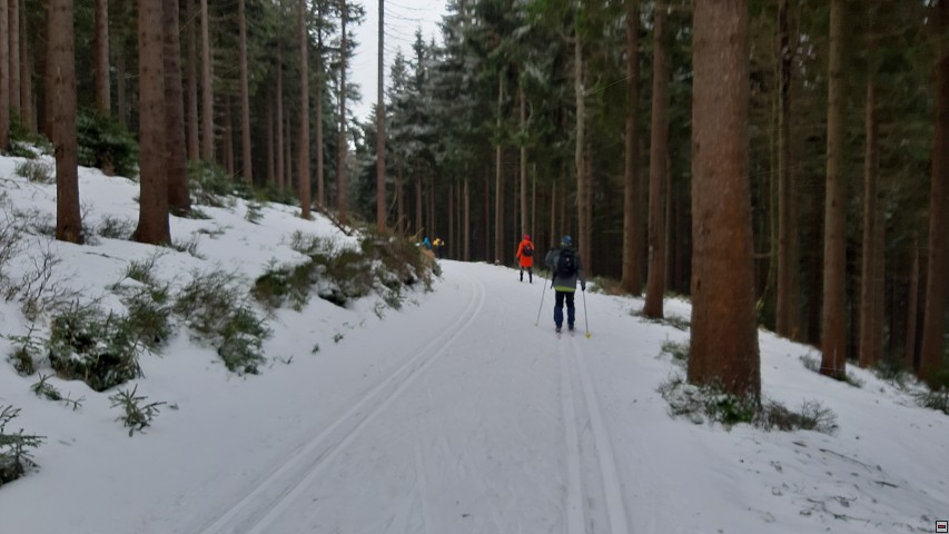 img00009.jpg