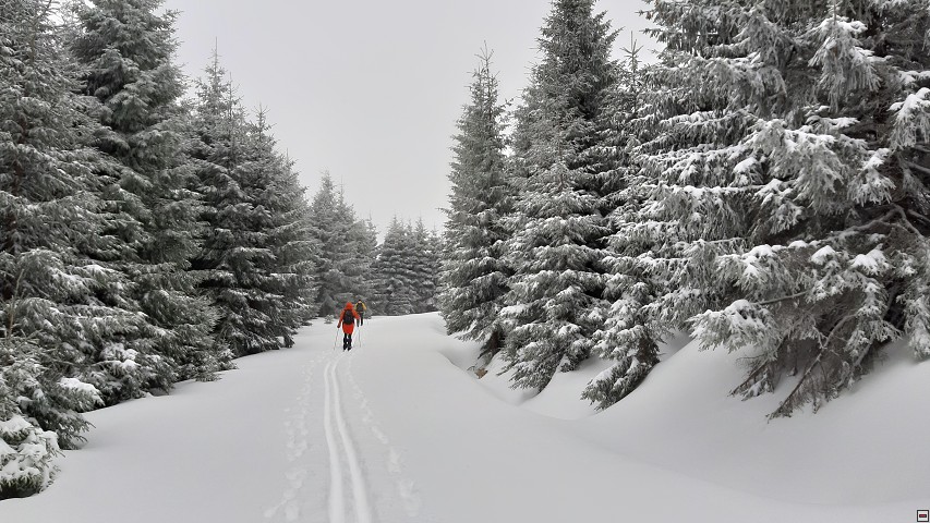 img00012.jpg