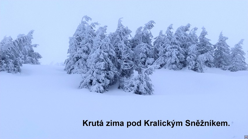 img00017.jpg