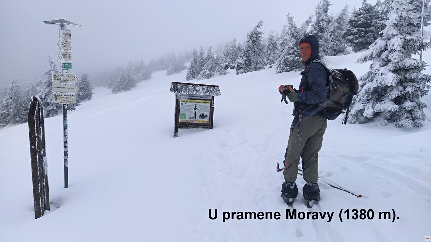 img00019.jpg