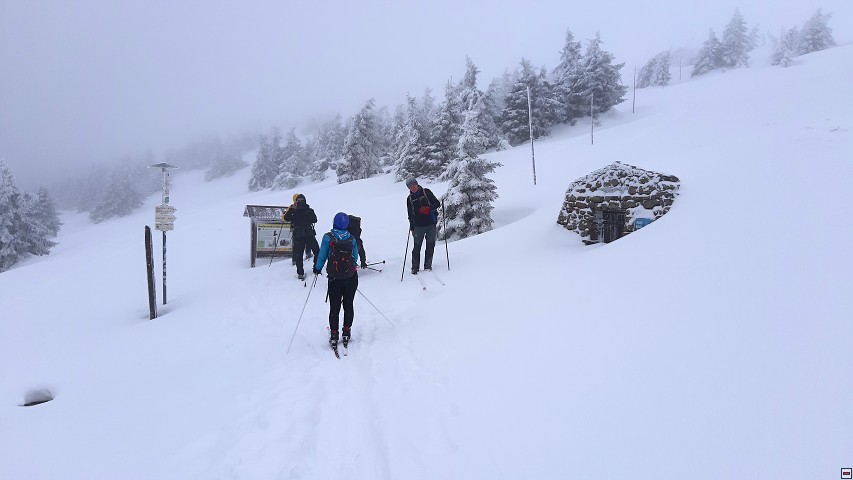 img00020.jpg