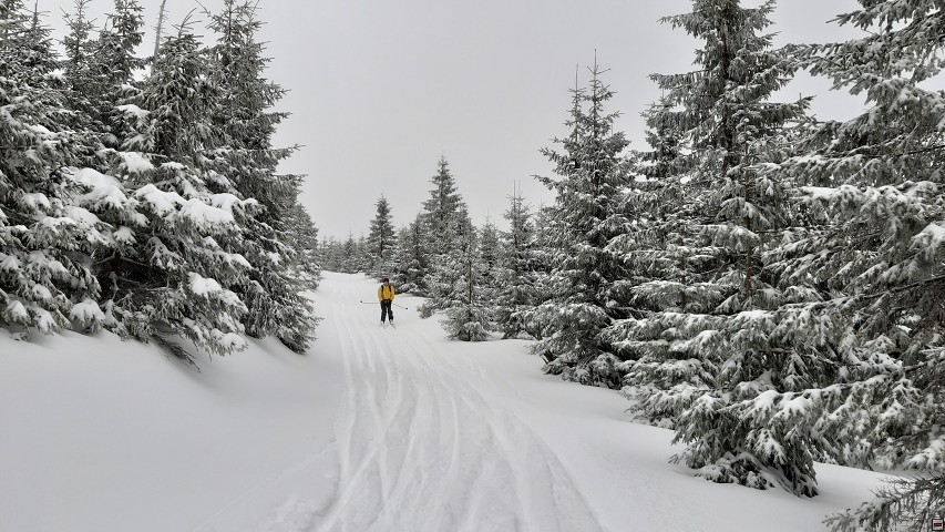 img00029.jpg