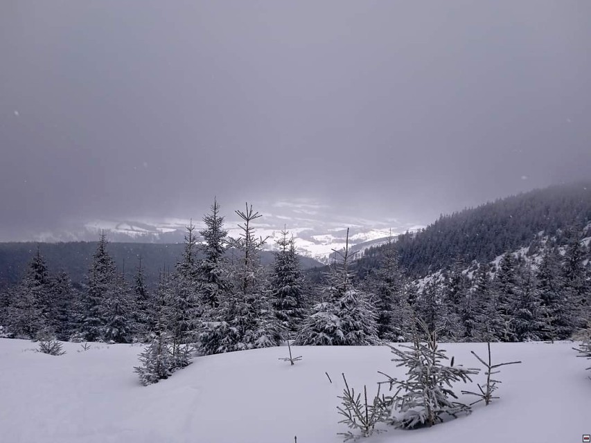 img00030.jpg