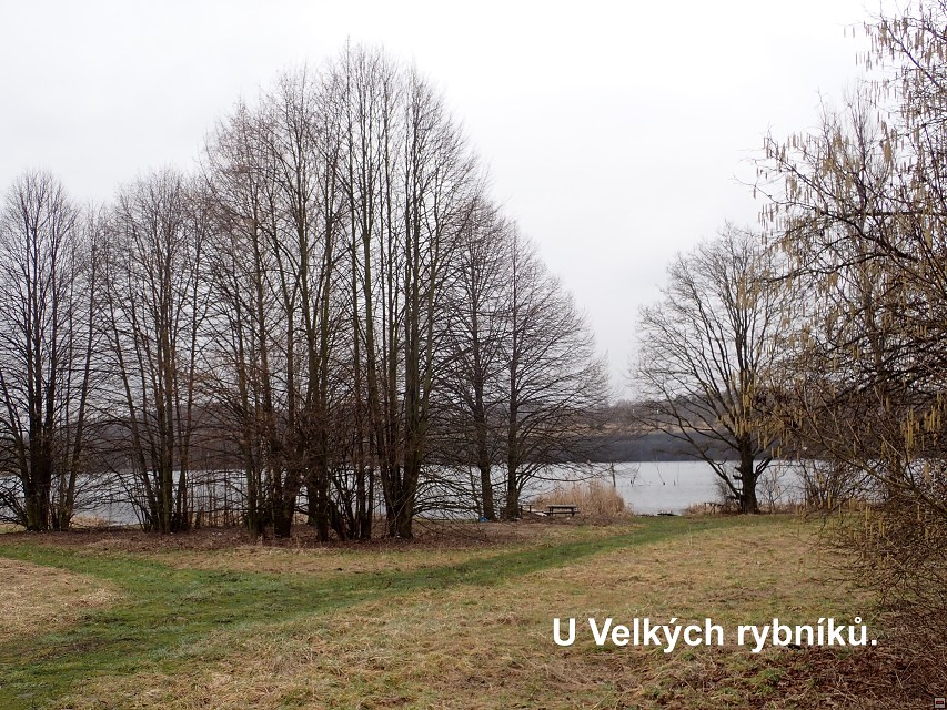 img00028.jpg