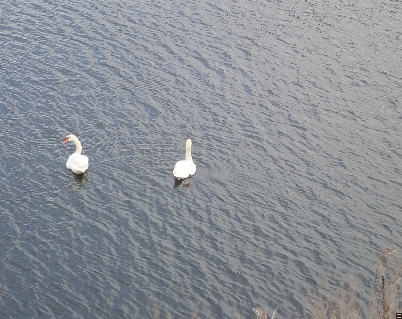 img00032.jpg