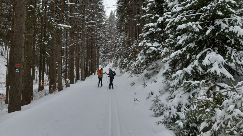 img00002.jpg