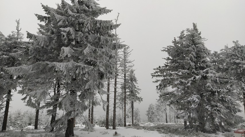 img00004.jpg