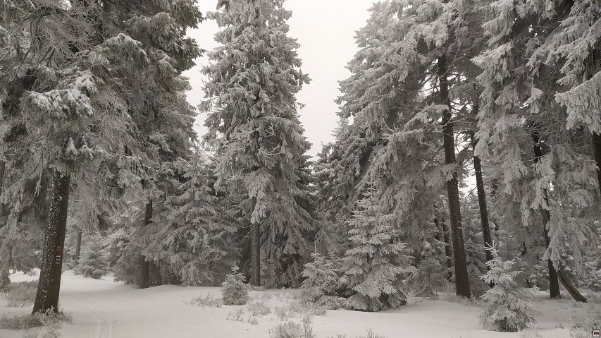 img00005.jpg