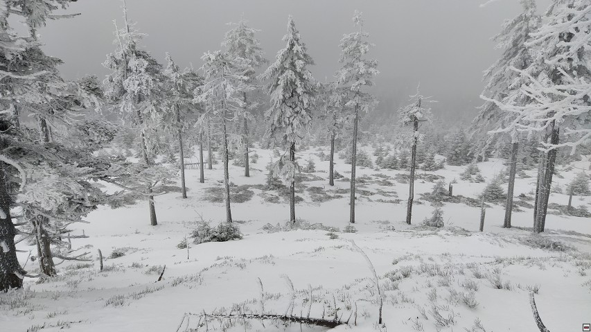 img00013.jpg
