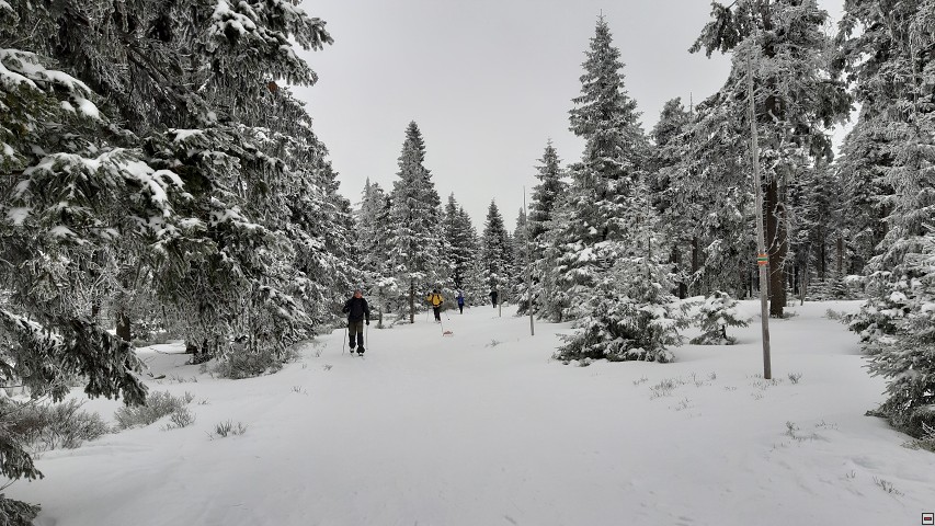 img00017.jpg