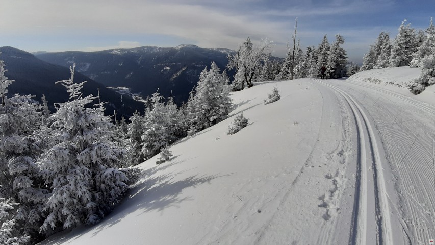 img00031.jpg