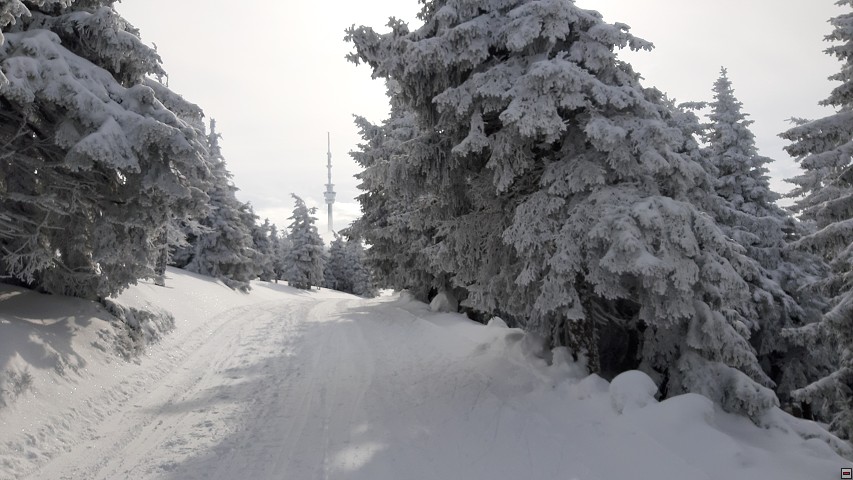 img00032.jpg