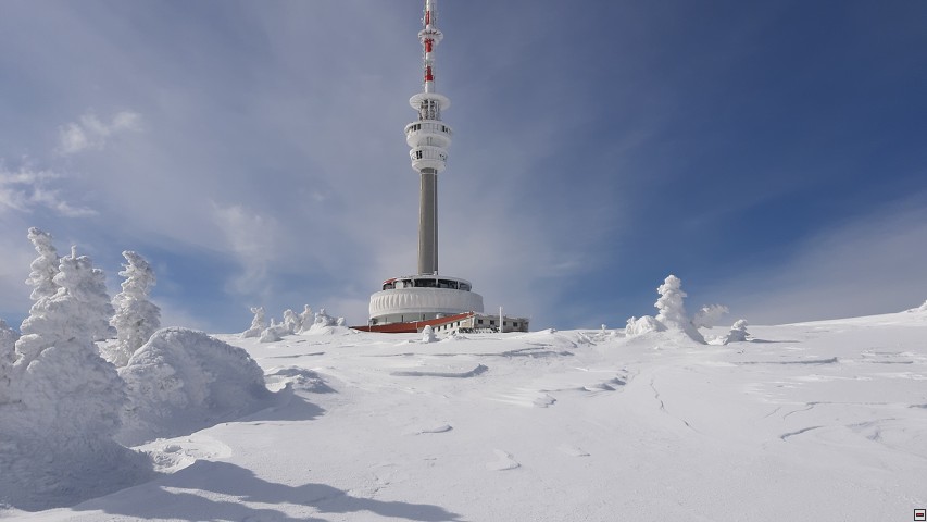 img00037.jpg