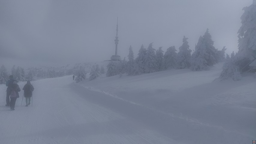 img00038.jpg