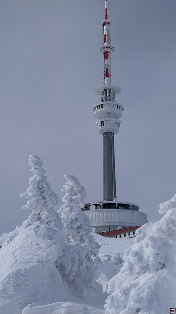 img00039.jpg