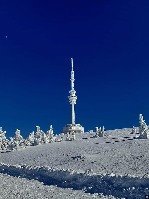 img00040.jpg