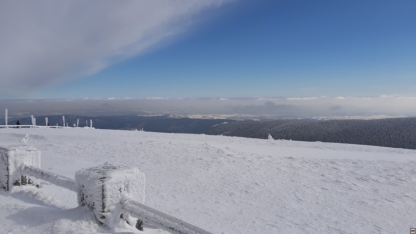 img00046.jpg
