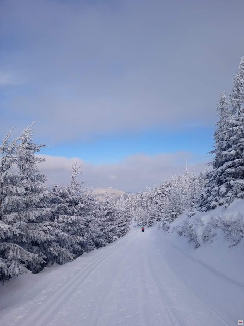 img00057.jpg