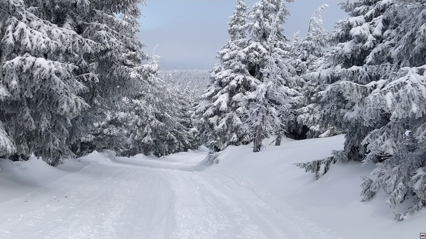 img00058.jpg