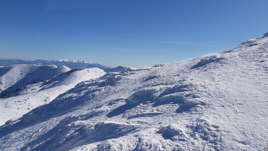 img00003.jpg