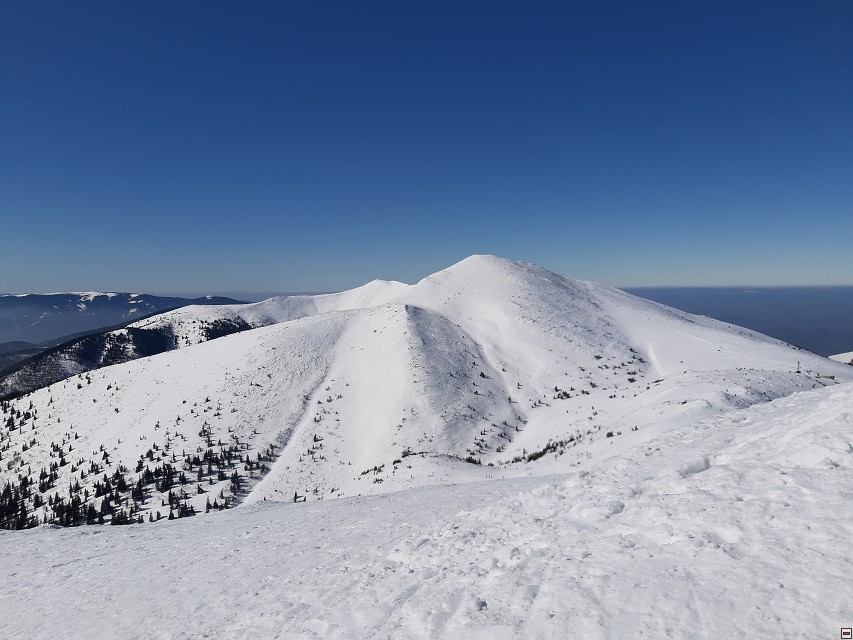 img00009.jpg