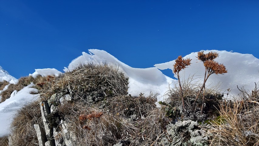 img00014.jpg