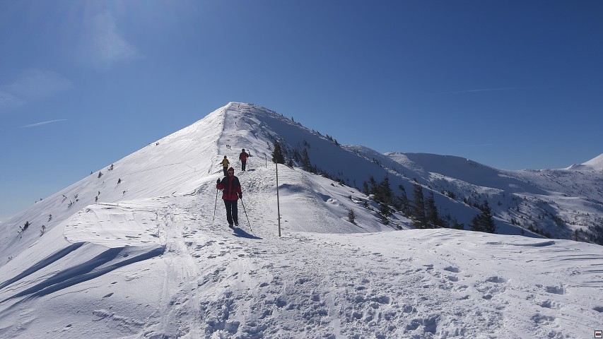 img00019.jpg