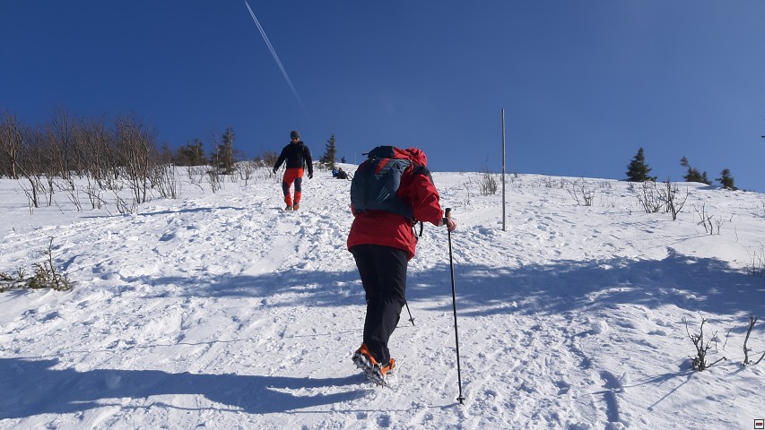 img00023.jpg